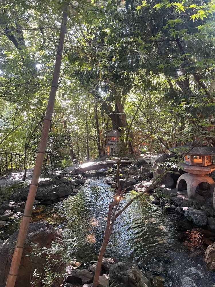 お庭がとても綺麗で森を感じられました。