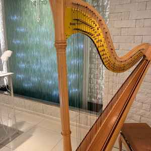 チャペルにハープやフルートがあって演奏できる