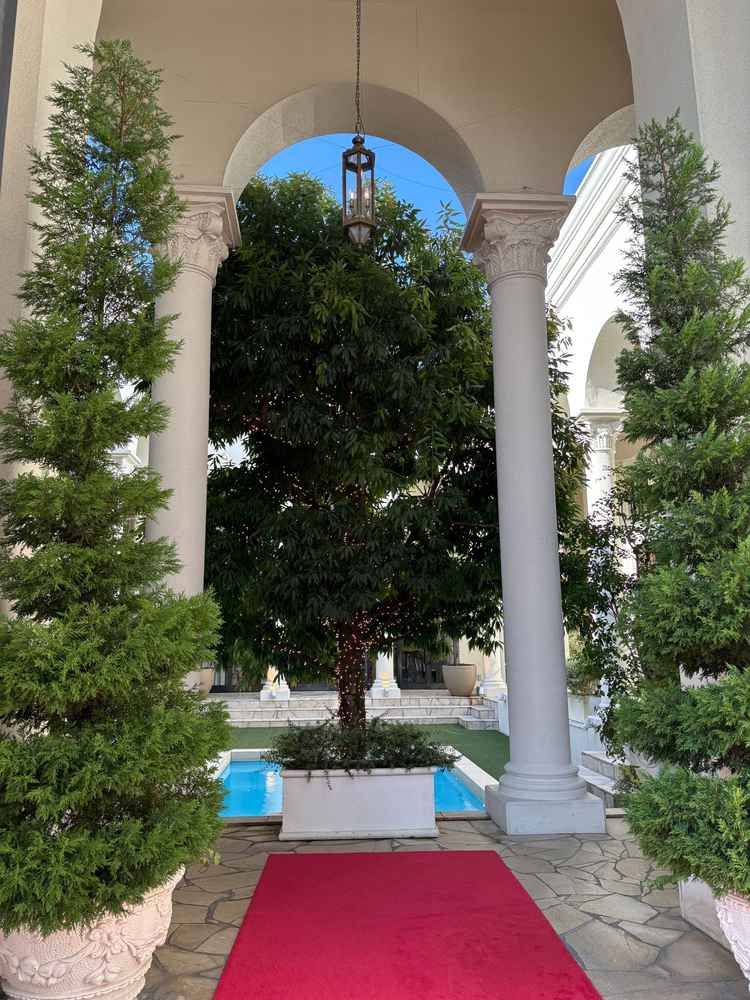 入り口から緑が多め。より温かみが出やすい雰囲気だと感じた。