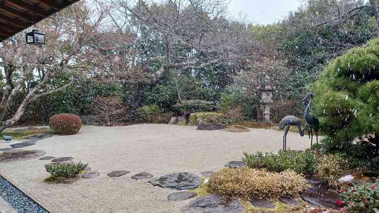 庭園。見学時は雪が降っていたが、和の雰囲気と合って綺麗だった。