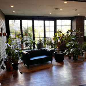 黒を基調とした披露宴会場に隣接するインナーテラスの写真。室内ながらも緑を感じれた。