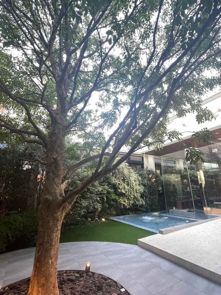 緑で囲まれている雰囲気が、とても素敵でした！デザートブッフェなどもできるようで、想像が膨らみました。