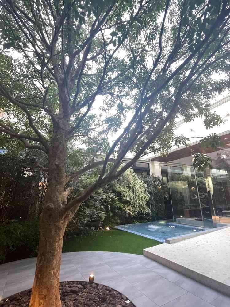 緑で囲まれている雰囲気が、とても素敵でした!デザートブッフェなどもできるようで、想像が膨らみました。