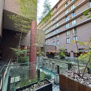 2枚目の写真の背景です。竹や紅葉で彩られて、京都に来たなと感じます