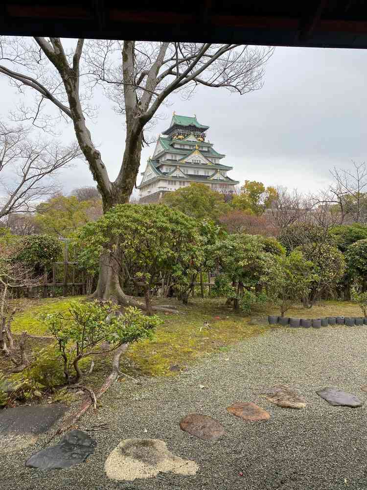 ユーザーが投稿した画像4
