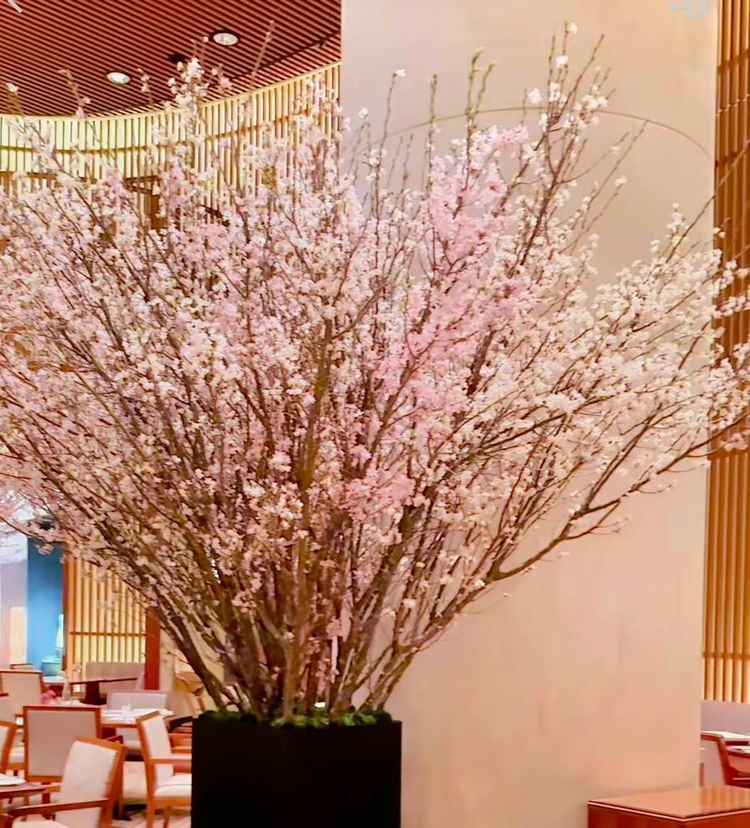 エントランスは桜が生けられており、季節感があり素敵でした。