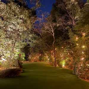 ガーデンが夜はライトアップされ、とても素敵な雰囲気。