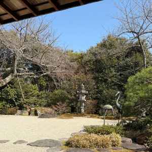 手入れの行き届いた日本庭園で、落ち着きと特別感を感じた。他にはない唯一無二の雰囲気がとても魅力的。