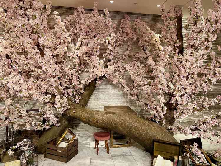ユーザーが投稿した画像3