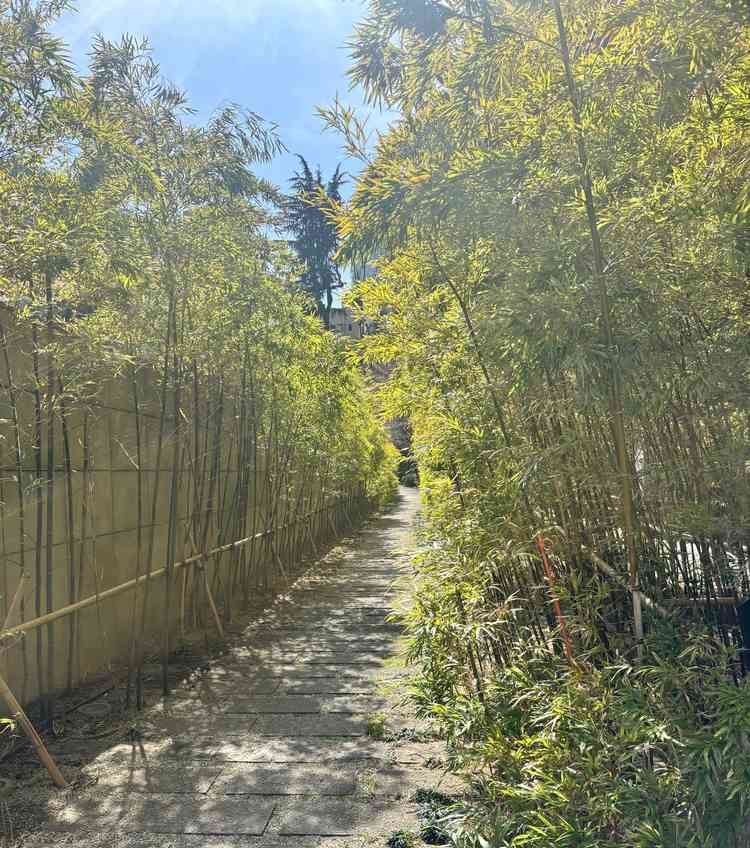 お店の前。こちらで写真を撮る方が多いそうです。2月なのでやや緑が少なか見えますが、写真映えします！