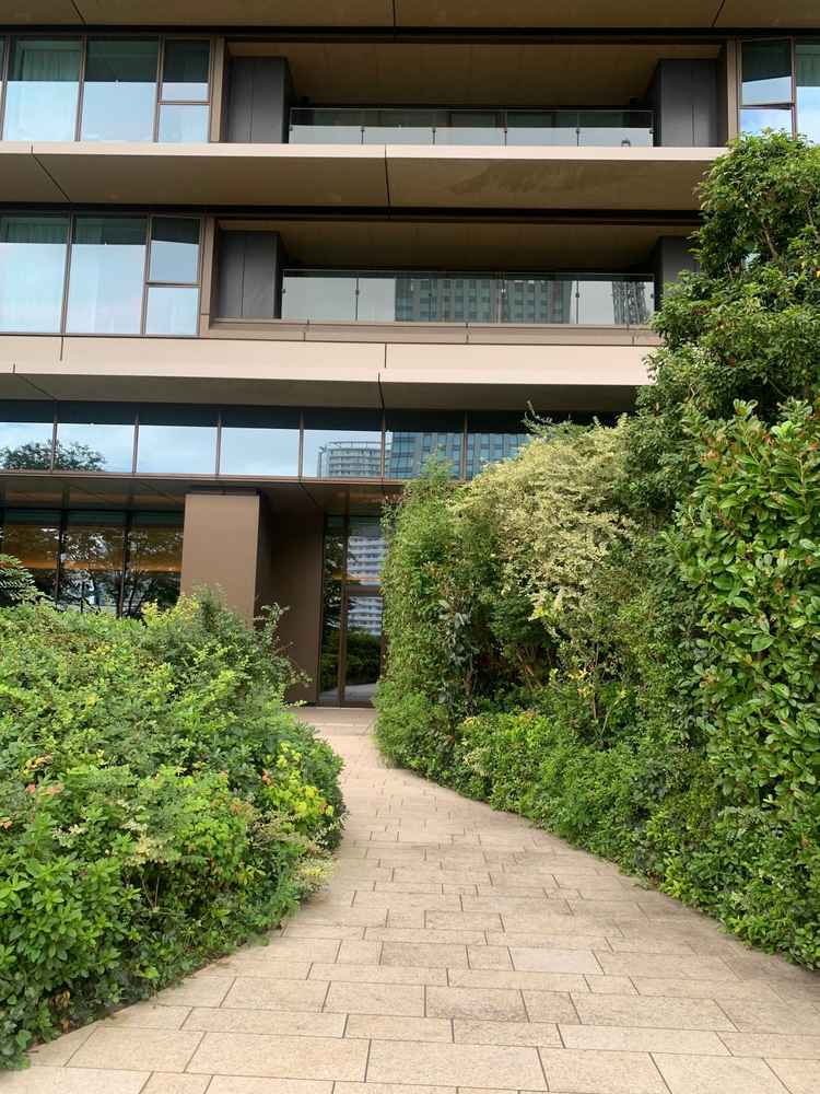 唯一の天候に左右されるエリア。ここでファーストミートする人が多いとのこと。