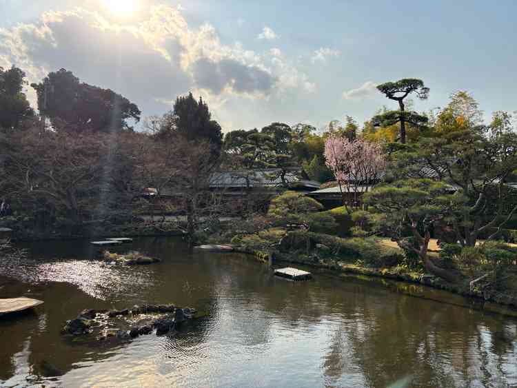ユーザーが投稿した画像2