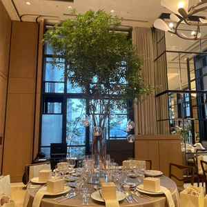 テーブルの中心に大きな木があり、このホテルの自由度の高さがわかる