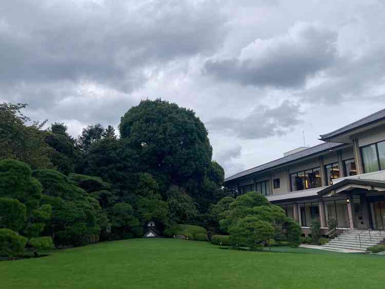 本館改修工事中でも楽しめる景色。ビルなどが一歳視界に入らないのが素晴らしい