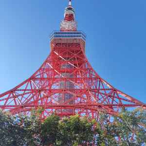 ユーザーが投稿した画像1