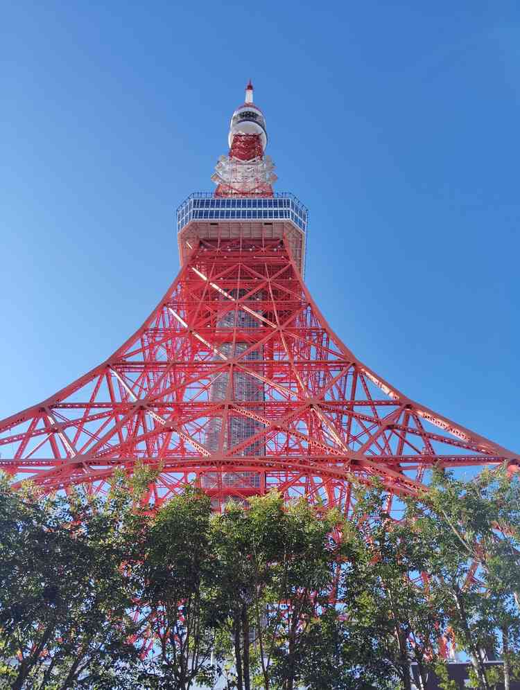 ユーザーが投稿した画像1
