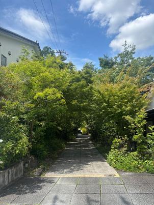 木のトンネルが入り口となっており、会場の世界観を感じられる外観だった。