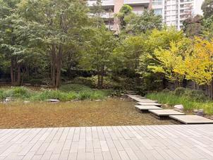 都心とは思えないほど緑が豊かで、開放感のある庭園でした。