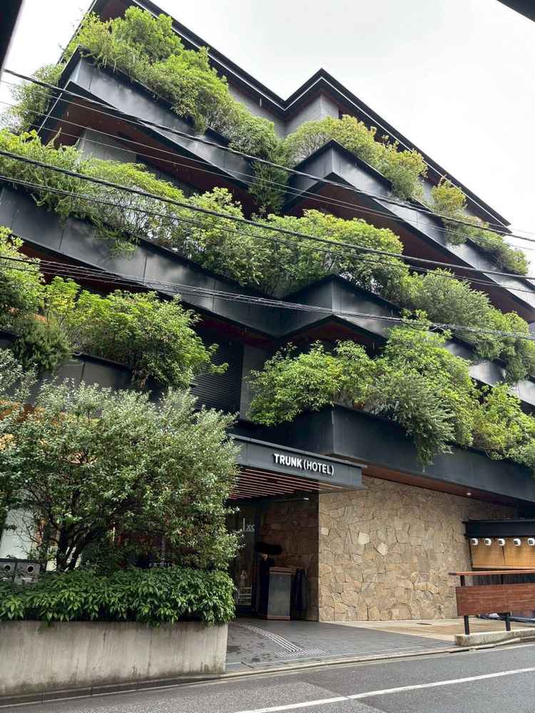 建物の外観。ビル群の中に急に現れる緑いっぱいの建物は期待と高揚感を掻き立ててくれました。