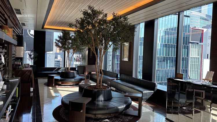 シックで落ち着いた雰囲気と、温かみのある自然な雰囲気がマッチしたラウンジ。陽光が差して素敵でした。