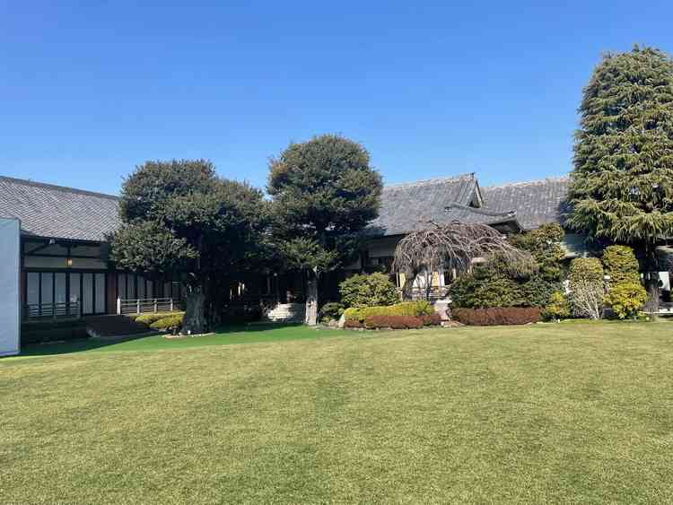 木々に囲まれているが、空は広い。本館は工事中だが、影響はあまりない。