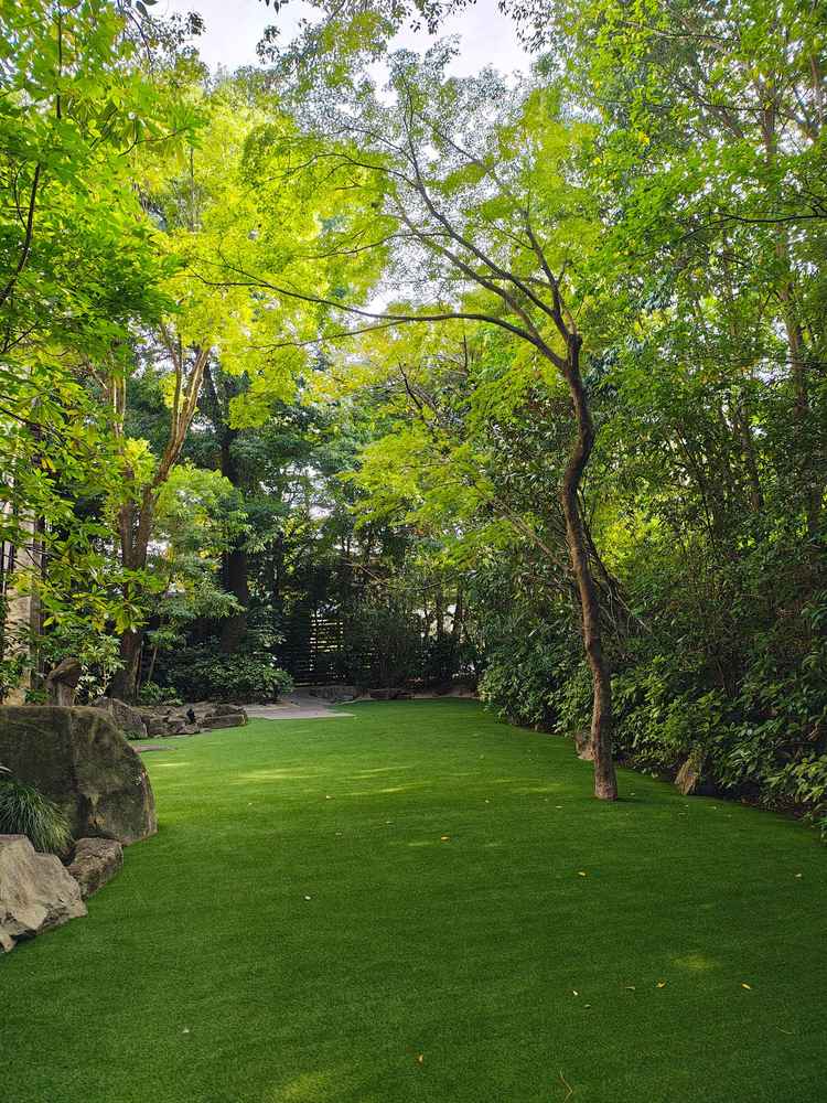 エントランスからの写真