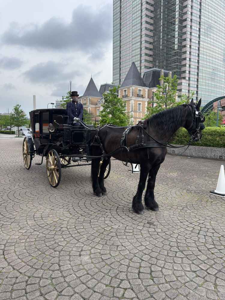馬と馬車、こちらに実際に乗ってホースパレードをするとの事