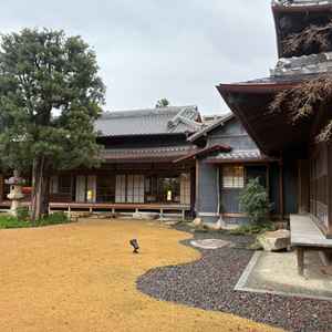 お庭には植物だけではなく、建物と空間そのものが和の雰囲気で素敵でした