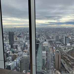 レストランからの景色です