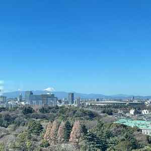ユーザーが投稿した画像1