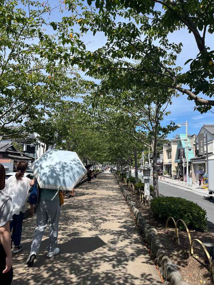 晴れた日は気持ちの良い八幡宮へ続く道