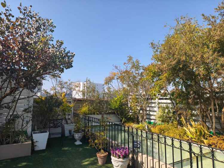 屋上を開放していて、フォトスポットや休憩ルームとして活用可能とのこと。