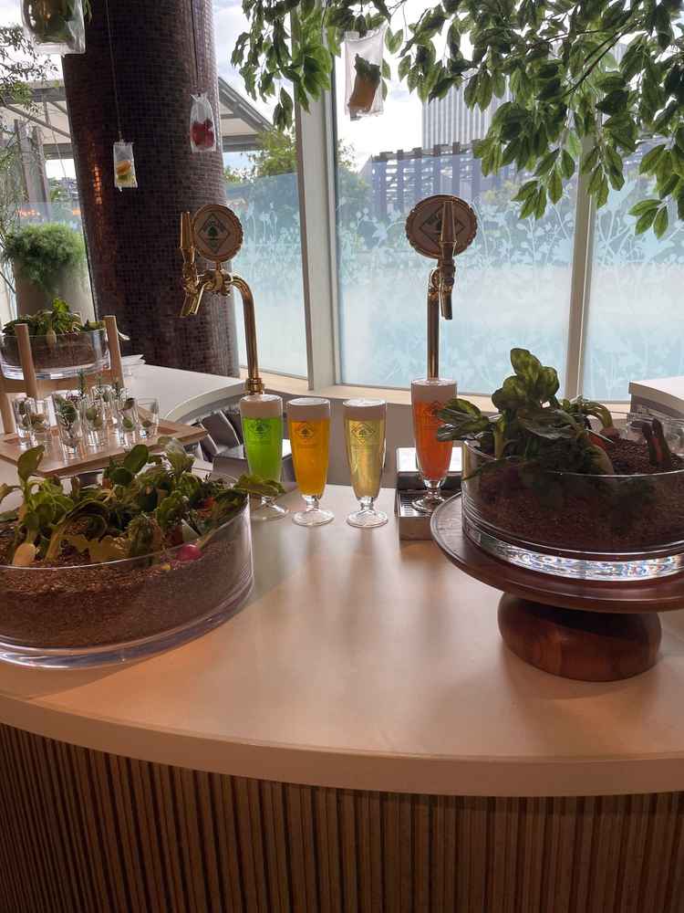 カウンター。ビアサーバーがあり、お酒を飲むゲストが多い人にはありがたい設備でした。