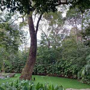 1月見学でも緑が濃い。常緑樹が多く季節問わずグリーン豊富で庭も広く演出なしでも成立し写真映え抜群