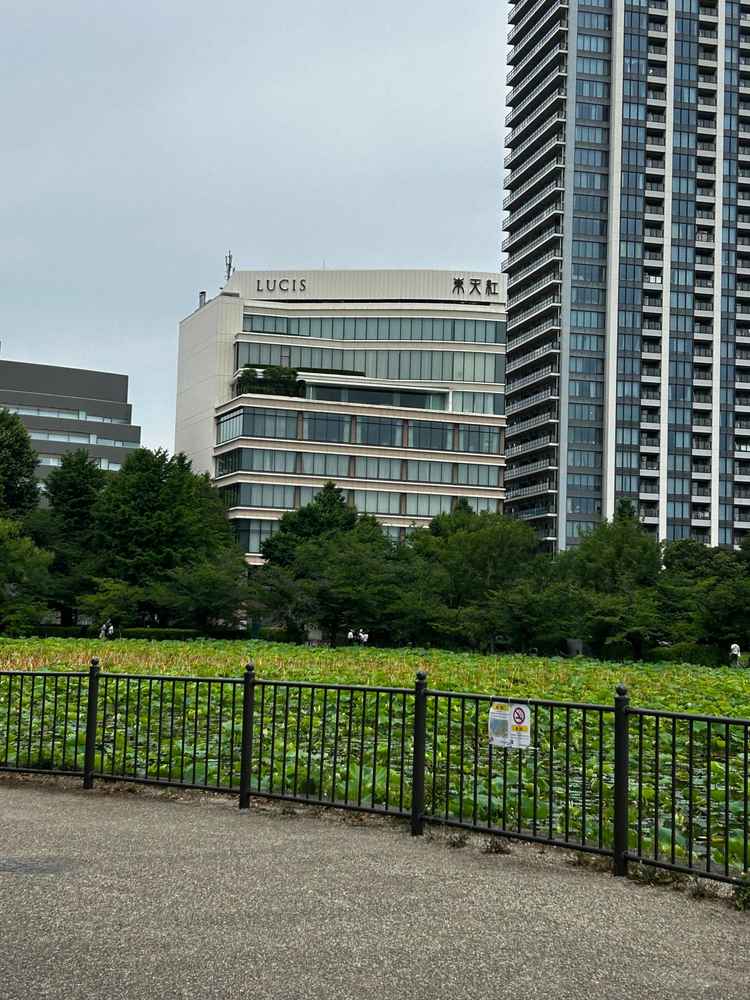 JR上野駅から徒歩で会場まで向かう際には上野恩賜公園の池の周りを景色を楽しみながら歩けました。