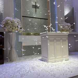 フェザーシャワー