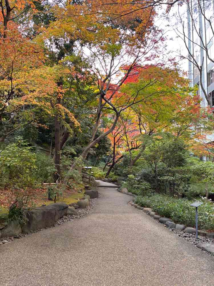 紅葉が綺麗でした