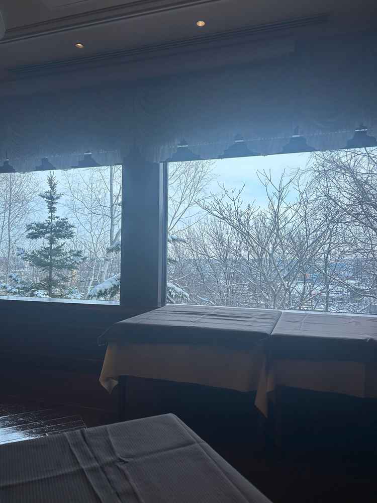 レストランからの風景も緑がありました。