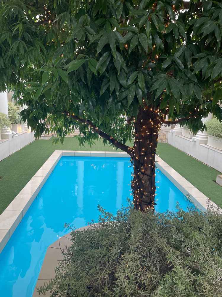 ガーデン。大きなプールがあり綺麗。子供達が走り回れる。