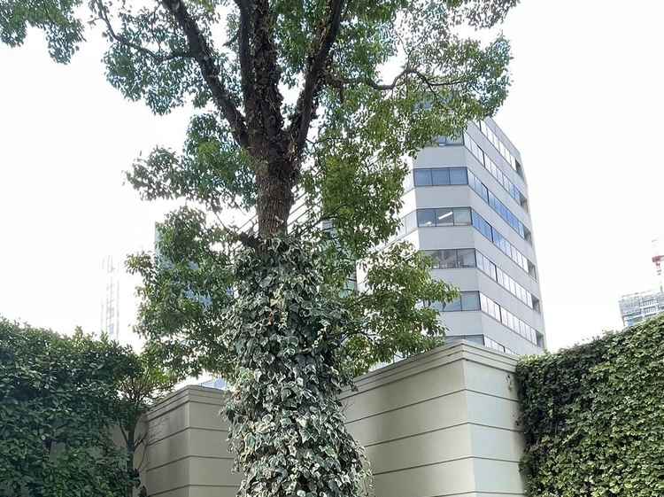 ガーデンからの外の景色