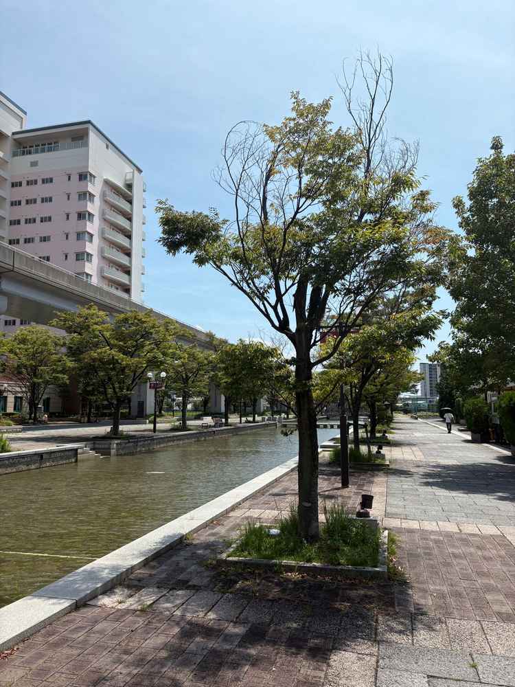 式場の外が非常に静かで良かったです。