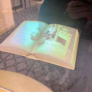 絵本マッピングというもので、二人のプロフィールなどを上映して待ち時間でゲストに楽しんでもらうものです