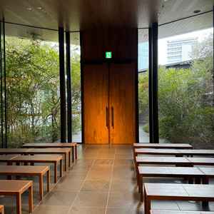 自分たちの目線から緑がよく見えてとても良かったです