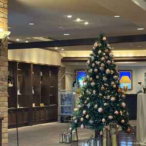ロビーに飾ってあったクリスマスツリー