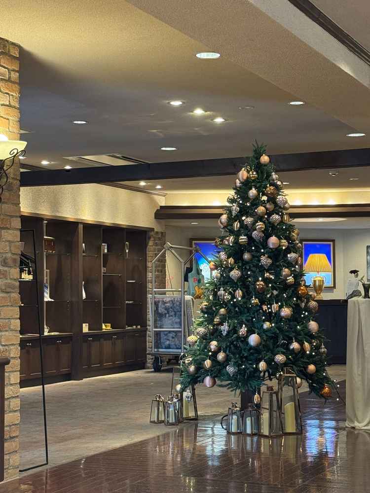 ロビーに飾ってあったクリスマスツリー