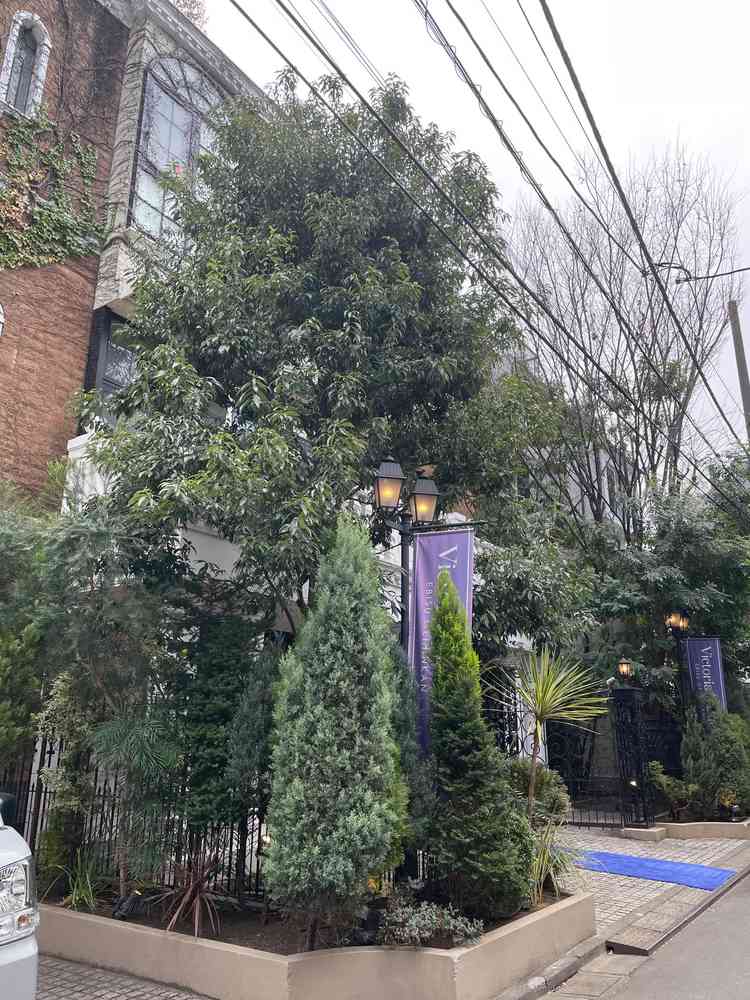 ユーザーが投稿した画像1