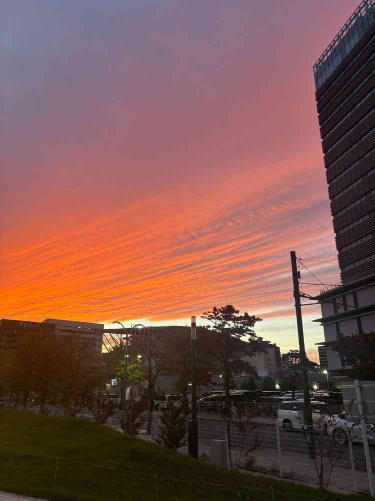 ホテル周辺は落ち着いた雰囲気で治安も安心できそうです。