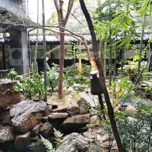 ユーザーが投稿した画像2