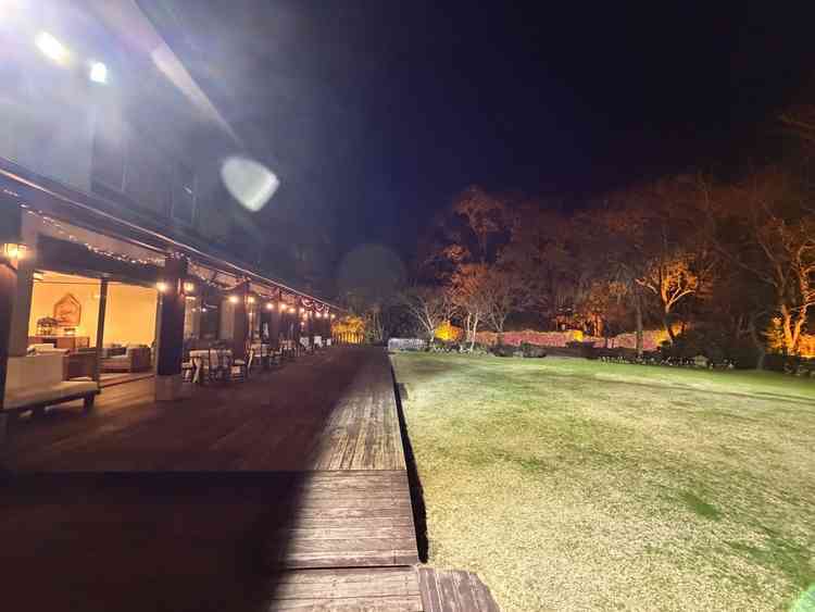 ガーデンは天然の芝で夏は緑がたくさんとのこと