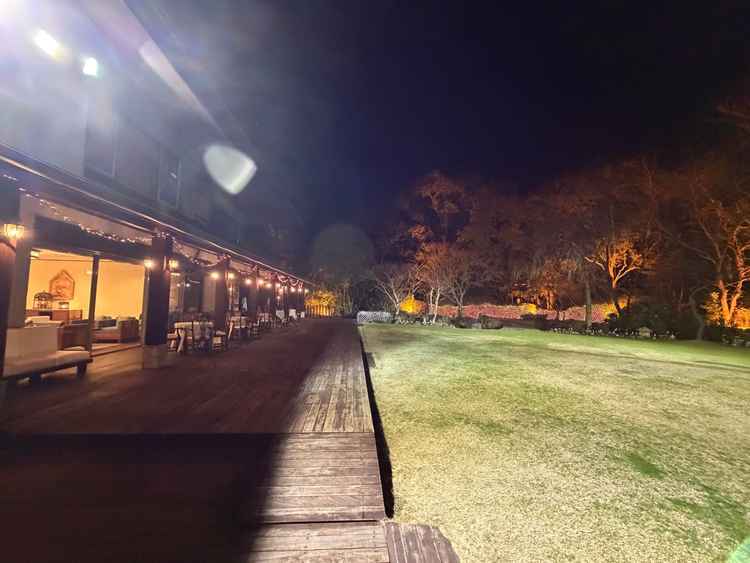 ガーデンは天然の芝で夏は緑がたくさんとのこと